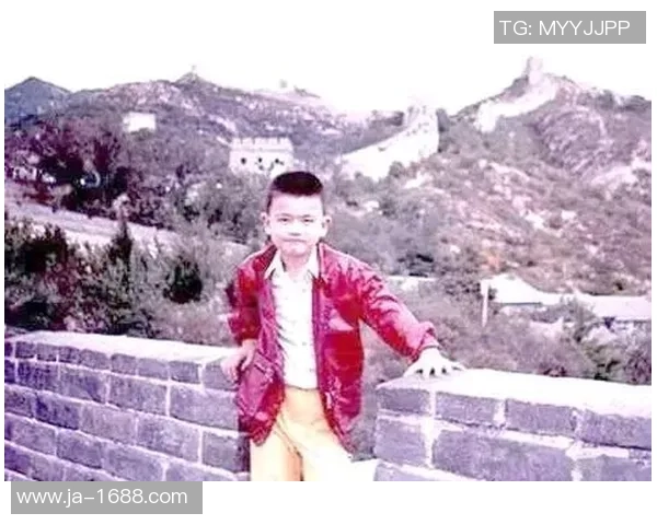 小姚明在重庆的篮球之路与成长故事分享